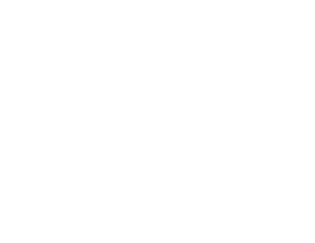 Logo European Democracy Consulting Stiftung